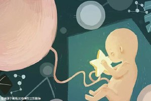专业同性供卵助孕收费标准